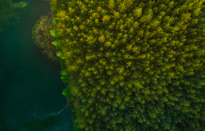 STJ reconhece a imprescritibilidade da reparação por danos urbanístico-ambientais