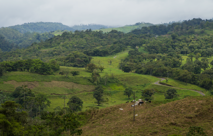 Só é possível a exclusão do ITR em florestas nativas com a apresentação do Ato Declaratório Ambiental, decide CARF.