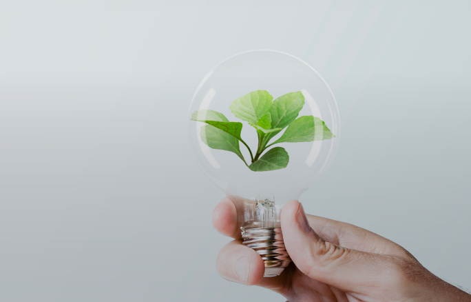 Lei federal prevê remuneração por meio de créditos de carbono como medida para a expansão dos biocombustíveis na matriz energética.