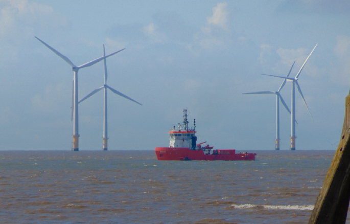 Economia azul ganha protagonismo no Ceará.